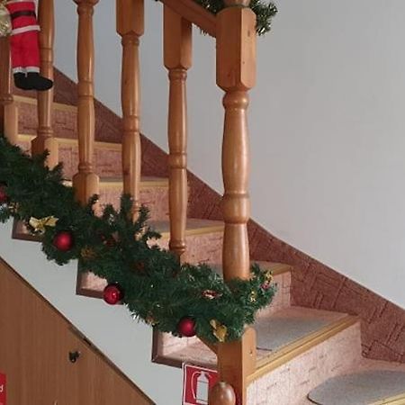 Apartament Casa Ica Băile Felix Zewnętrze zdjęcie